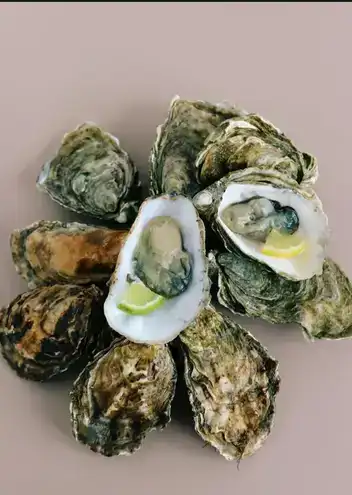 West Mersea Rock Oysters